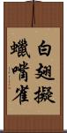 白翅擬蠟嘴雀 Scroll