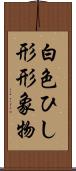 白色ひし形形象物 Scroll