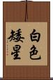 白色矮星 Scroll