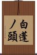 白蓬ノ頭 Scroll