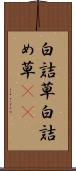 白詰草 Scroll