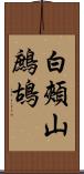 白頰山鷓鴣 Scroll