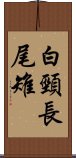 白頸長尾雉 Scroll