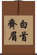 白首齊眉 Scroll