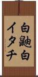 白鼬 Scroll