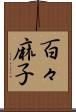 百々麻子 Scroll
