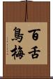 百舌鳥梅 Scroll