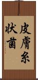 皮膚糸状菌 Scroll