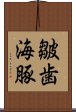 皺歯海豚 Scroll