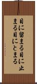 目に留まる Scroll