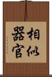 相似器官 Scroll