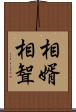 相婿 Scroll