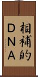 相補的ＤＮＡ Scroll