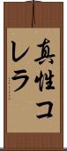 真性コレラ Scroll
