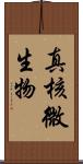 真核微生物 Scroll
