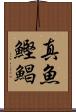 真魚鰹 Scroll
