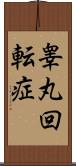 睾丸回転症 Scroll