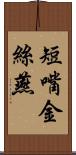 短嘴金絲燕 Scroll