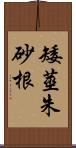 矮莖朱砂根 Scroll