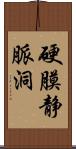 硬膜静脈洞 Scroll