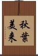 秋葉美来 Scroll