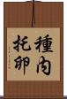 種内托卵 Scroll