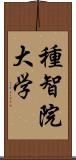 種智院大学 Scroll