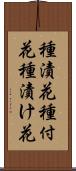 種漬花 Scroll