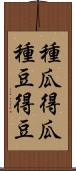 種瓜得瓜，種豆得豆 Scroll