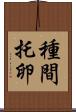種間托卵 Scroll