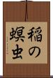 稲の螟虫 Scroll