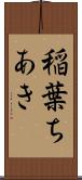 稲葉ちあき Scroll