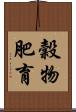 穀物肥育 Scroll