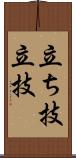 立ち技;立技 Scroll