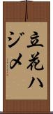 立花ハジメ Scroll