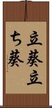 立葵 Scroll
