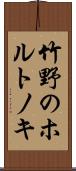 竹野のホルトノキ Scroll