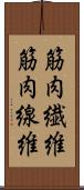 筋肉繊維 Scroll