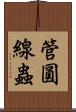 管圓線蟲 Scroll