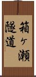 箱ヶ瀬隧道 Scroll