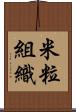 米粒組織 Scroll