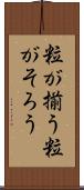 粒が揃う Scroll
