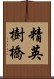 精英樹橋 Scroll