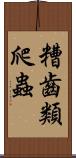 糟齒類爬蟲 Scroll