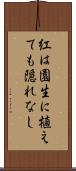 紅は園生に植えても隠れなし Scroll