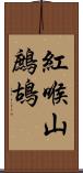 紅喉山鷓鴣 Scroll