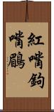 紅嘴鉤嘴鶥 Scroll