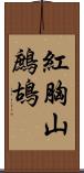 紅胸山鷓鴣 Scroll