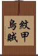 紋甲烏賊 Scroll
