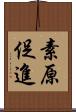 素原促進 Scroll